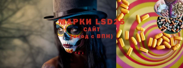 ПСИЛОЦИБИНОВЫЕ ГРИБЫ Кукмор