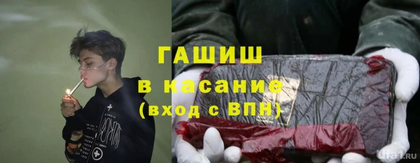 шишки Весьегонск