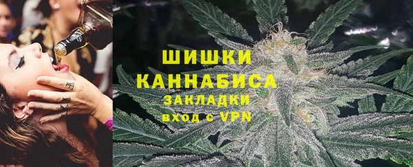 винт Лагань