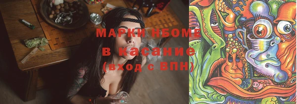 сатива Корсаков