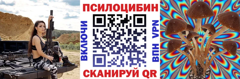 закладки  Кудымкар  Псилоцибиновые грибы GOLDEN TEACHER 