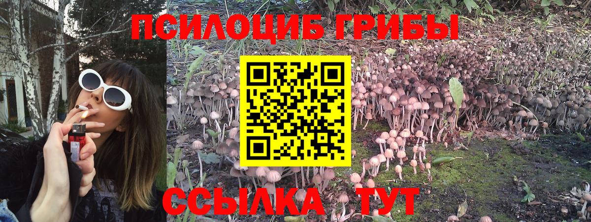 Метамфетамин  Кудымкар  Меф кристаллы  ГАШИШ  Экстази  МАРИХУАНА  Вход с VPN 