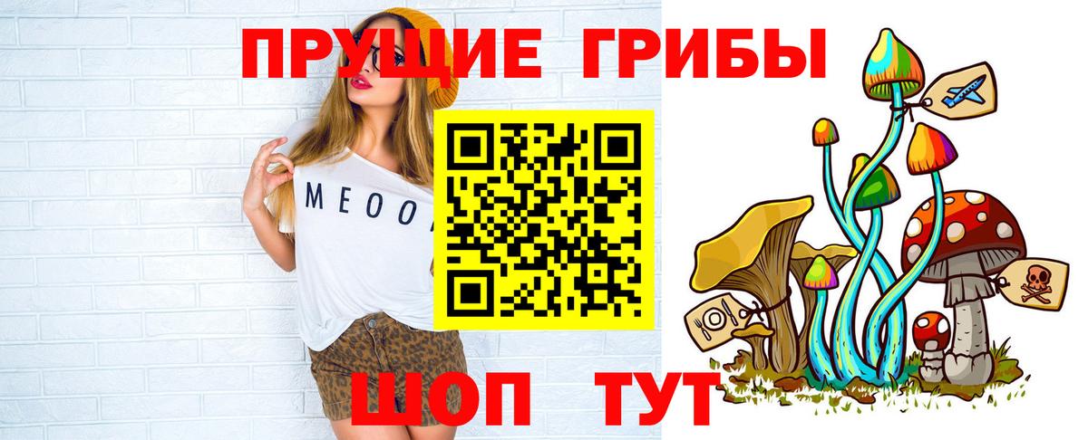 Галлюциногенные грибы GOLDEN TEACHER  закладки  Кудымкар  Вход с VPN  Галлюциногенные грибы Magic Shrooms 