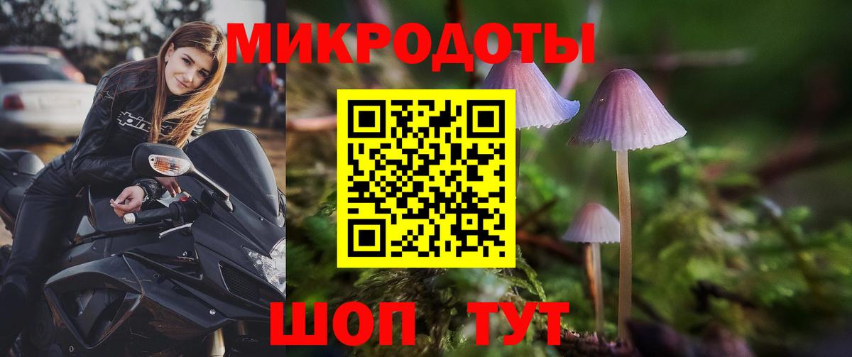 Псилоцибиновые грибы GOLDEN TEACHER Кудымкар